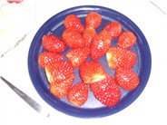 Erdbeeren